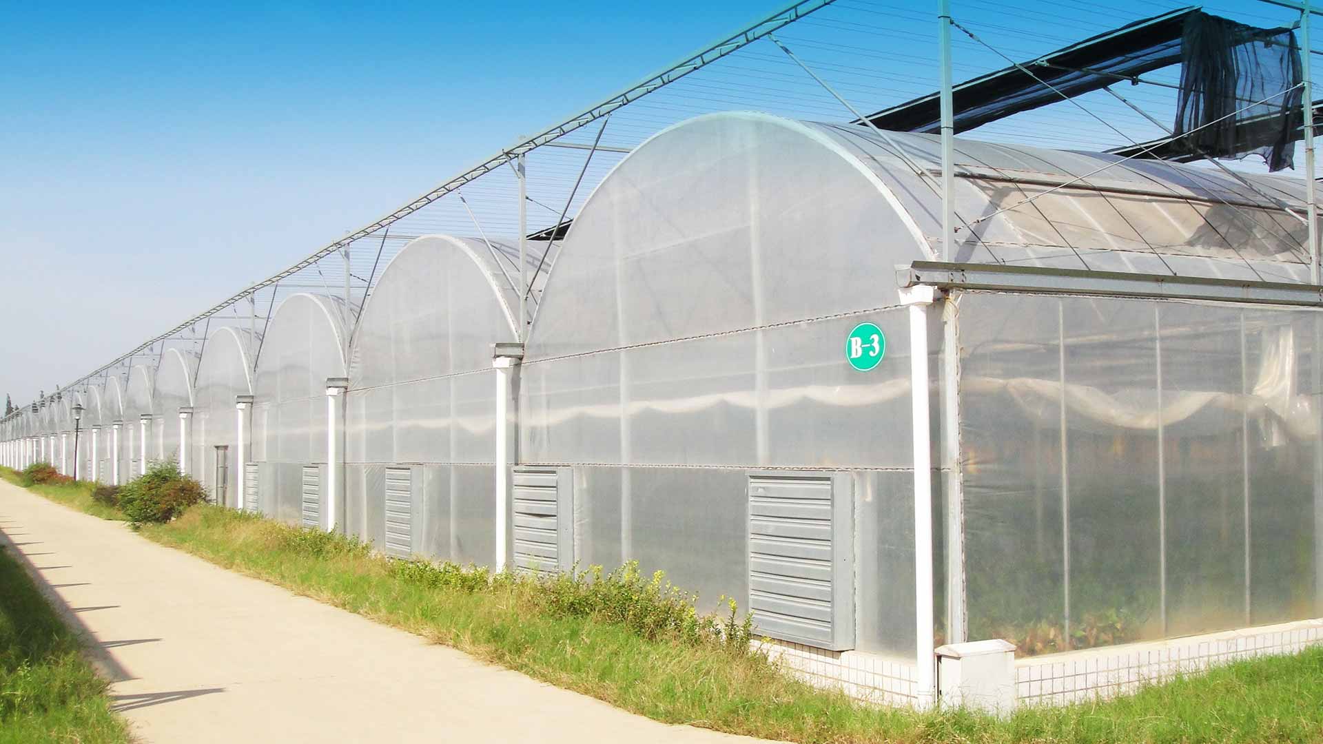阳光板温室