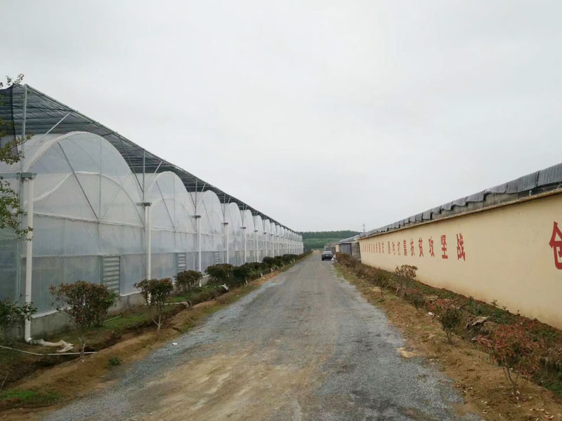 案例展示