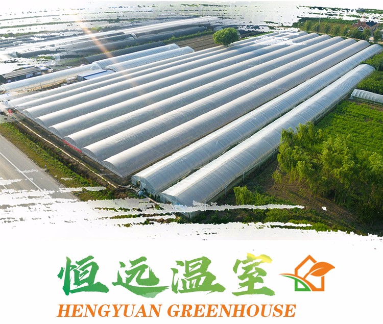 青州恒远温室工程有限公司